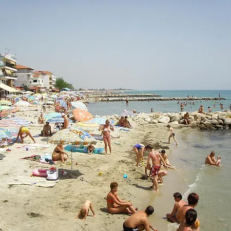 Myparalia *
